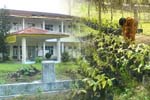 Programnonreguler UHAMZAH Medan Nomor 9
